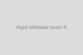 Rigid Inflatable Boats (Rib, Small)