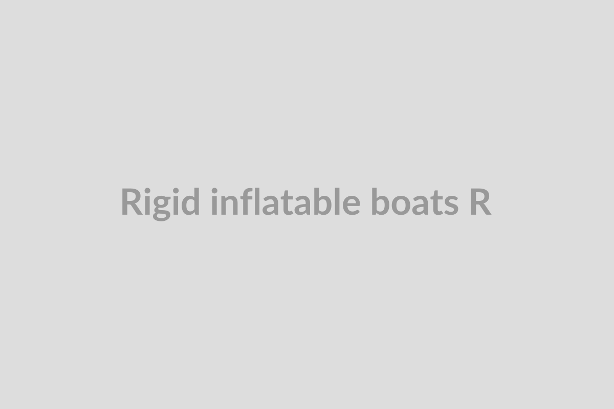 Rigid Inflatable Boats (Rib, Small)